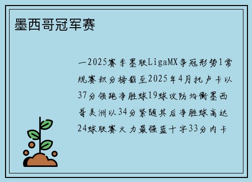 墨西哥冠军赛